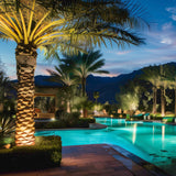 FL200 Flood Light on Palm Trees in Swimming Pool